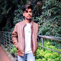 Hari Vishnu Lingisetty