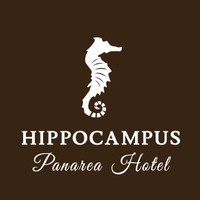Hippocampus Panarea