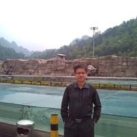 Robin See
