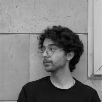 Mohammad hossein Salimi