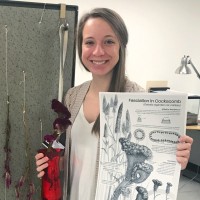 Laura Ekl, Cmi