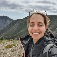 Adi Elbaz Regenstreif