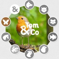 Tomandco Bergues Quaedypre