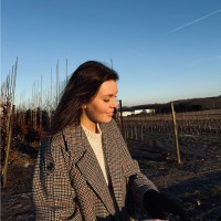Lisse Poffé