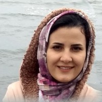 Shahrzad Feizi Amiri