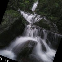 mohd yousif