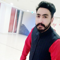 Muhammad Noman Habib