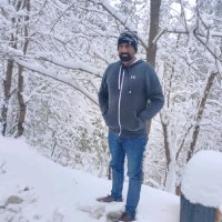 Muhammad Noman Saif