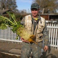 Сергей Вихлянцев