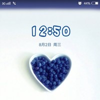 游兴华