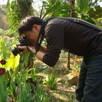 wayne hung