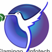 Flamingo Infotech