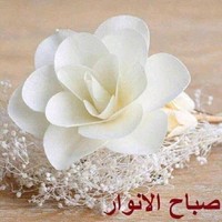Rony Noury