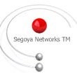 Segoya Networks TM Desarrollo de Software Web