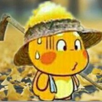 张建钢