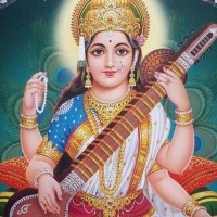 Vibhushita Mishra Mishra