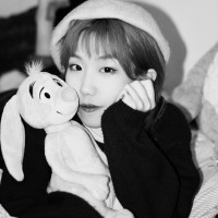 Jiapei Zheng