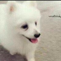 刘林坤