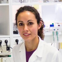 M JOSE BARROSO MONTORO