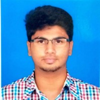 Sankar Narayanan R