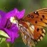 Kamrul Islam
