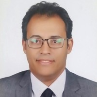 Yasser Abdel Samad Sayed