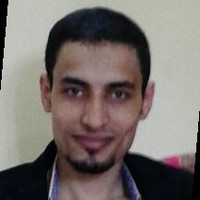 Alaa Arab