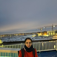 Mahreen Habib