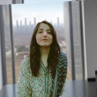 Bibi Parveen