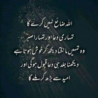 Harram Traders