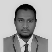 Mohamed Mustafa , M.Sc, Pmp®, Pmi-Pba®