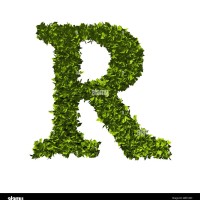 Ravi K