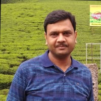 vipen garg