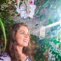 Luana Costa da Rocha Bassi