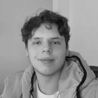 Daniel Rice Bulgarins