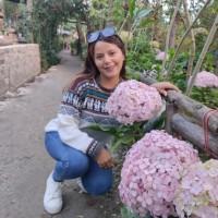 Anahi D. Baraibar
