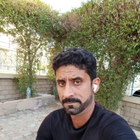 Faisal Bhatti