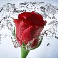 Pavithra K