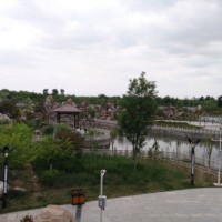杨安安