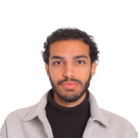 Mohammad Hindawi