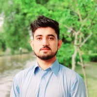 Syed Hassan Shah