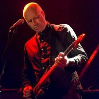 Steve Whitfield