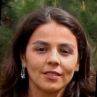 Paloma Borrás Pérez 🍀
