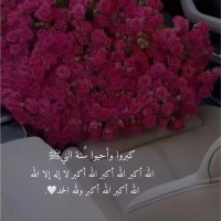 نجلاء العجمي