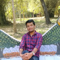 P. Dilip Chakravarthy