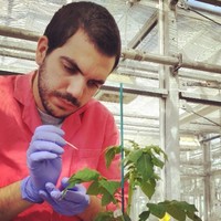 Kyriakos Varypatakis, Phd