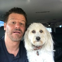 Joe Brian