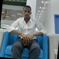 Hassan Nouman