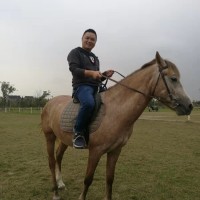 Yonglin Li