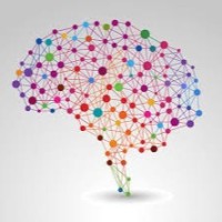 Mega Cellular Network Social Media